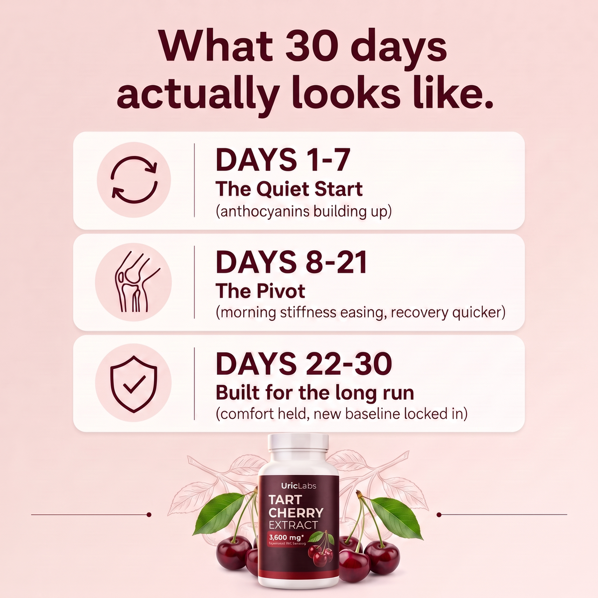 What 30 days on UricLabs looks like